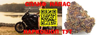 стаф Кулебаки